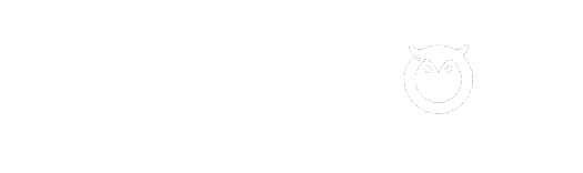 chiroowl footer logo